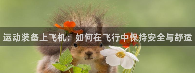 凯捷体育集团logo:运动装备上飞机:如何在飞行中保持安全与