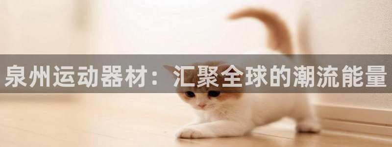 凯捷体育娱乐平台:泉州运动器材:汇聚全球的潮流能量