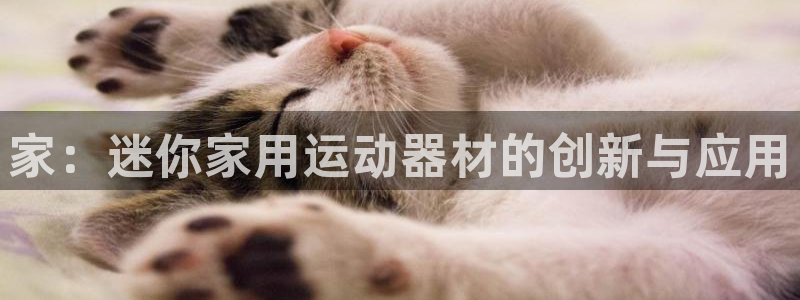 凯捷体育平台注册要钱吗:家:迷你家用运动器材的创新与应用